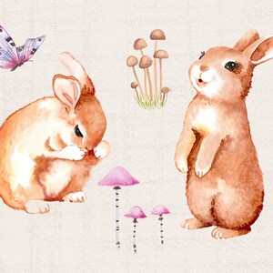 Peut inclure: Deux illustrations &agrave; l'aquarelle de lapins bruns, l'un assis et se toilettant, l'autre debout sur ses pattes arri&egrave;re. L'image comprend &eacute;galement des illustrations &agrave; l'aquarelle de champignons roses et bruns.