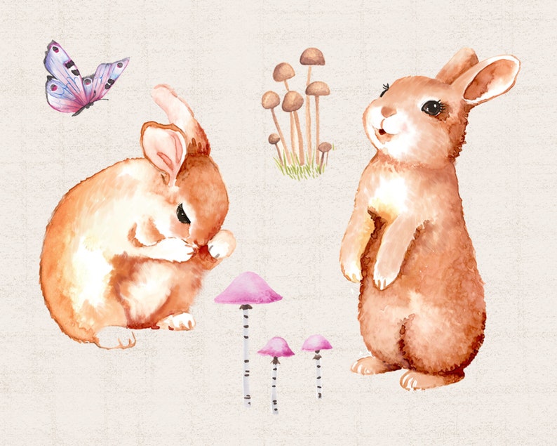 Peut inclure: Deux illustrations &agrave; l'aquarelle de lapins bruns, l'un assis et se toilettant, l'autre debout sur ses pattes arri&egrave;re. L'image comprend &eacute;galement des illustrations &agrave; l'aquarelle de champignons roses et bruns.