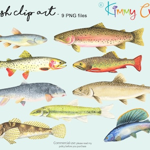 Fish - clip art peint à la main 9 fichiers transparents PNG à télécharger