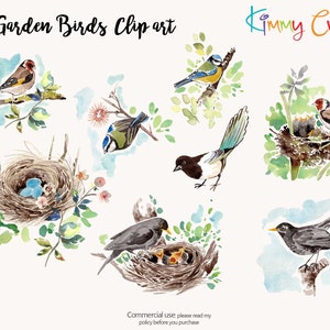 Aves de jardim do Reino Unido - clipart pintado à mão 8 arquivos PNG transparentes para download