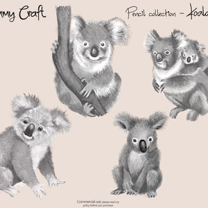 pencil hand drawn - Koalas clip art. 4 PNG file of different Koalas
