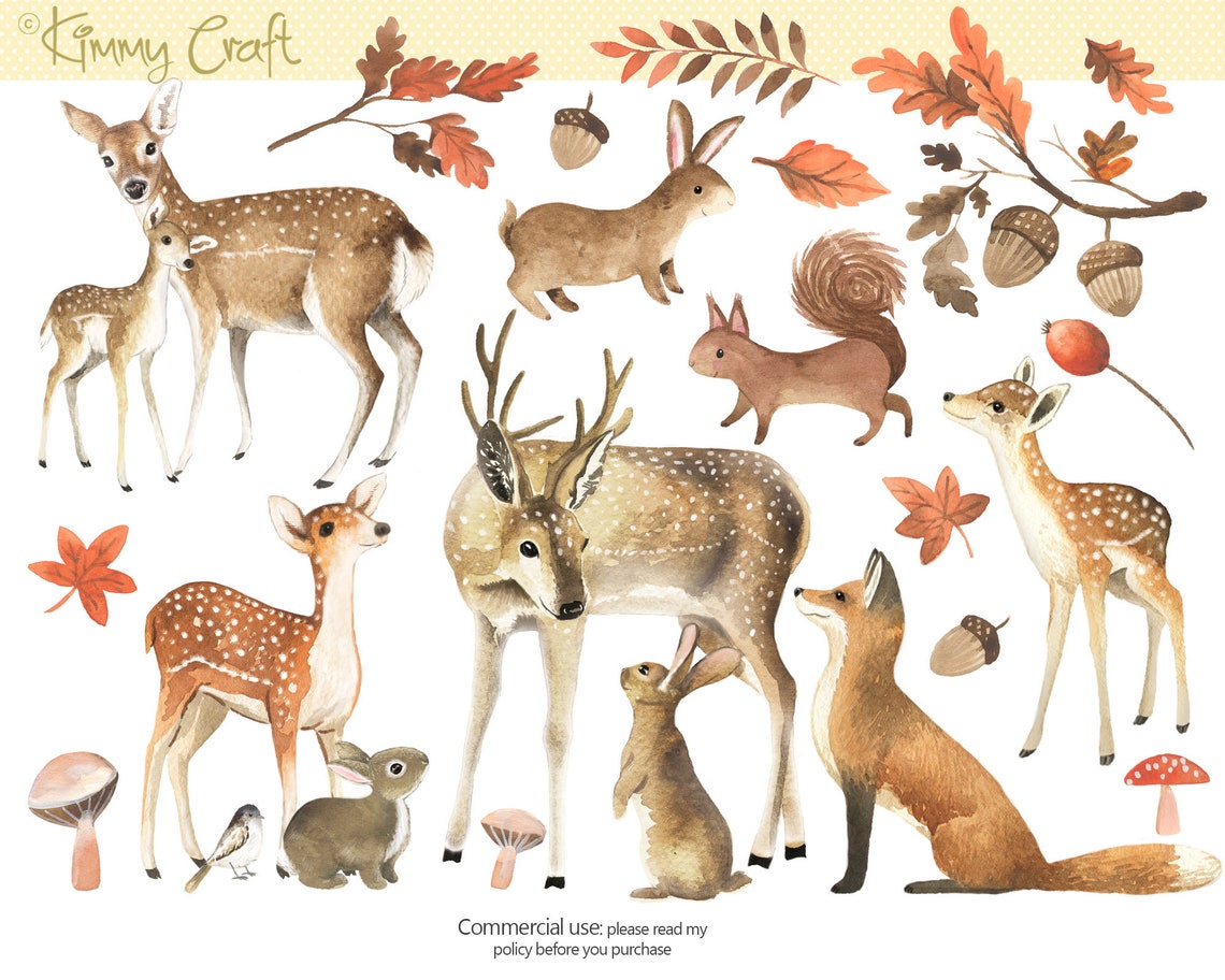 Woodland Animals Clip Art Digital Download Hand Painted in - Etsy