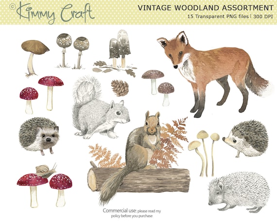 Woodland Animals Clip Art: Vintage Forest PNG (Digital Download)