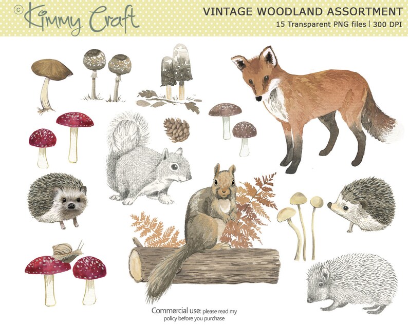 May include: Vintage woodland clipart set featuring a fox, squirrel, hedgehog, mushrooms, and a snail. The illustrations are in a watercolor style and are perfect for crafting projects.