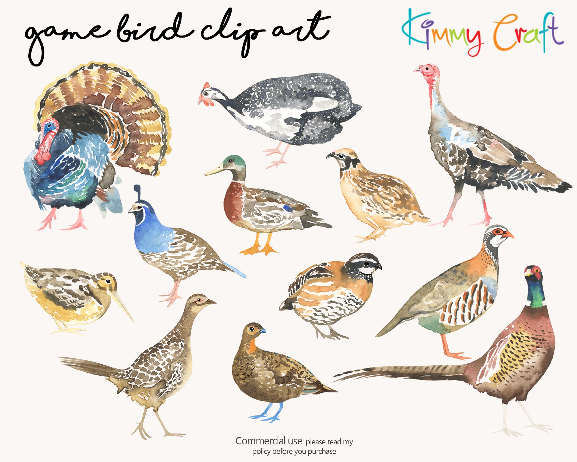 12 Types of Game Bird Clipart Collection Hand Painted in Etsy UK