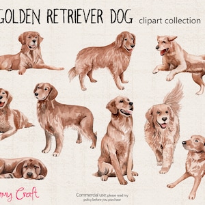 Dogs- Golden Retriever dog clip art.  9 PNG files.  watercolor paintings as clip art