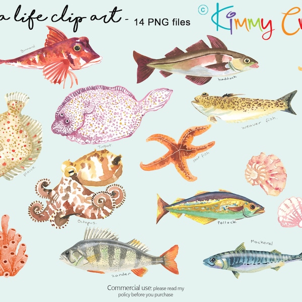 Fish - hand painted clip art 14 PNG transparent files to download