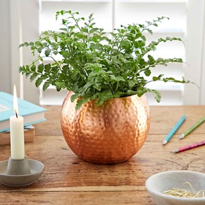 May include: A green fern plant in a hammered copper pot on a wooden table.