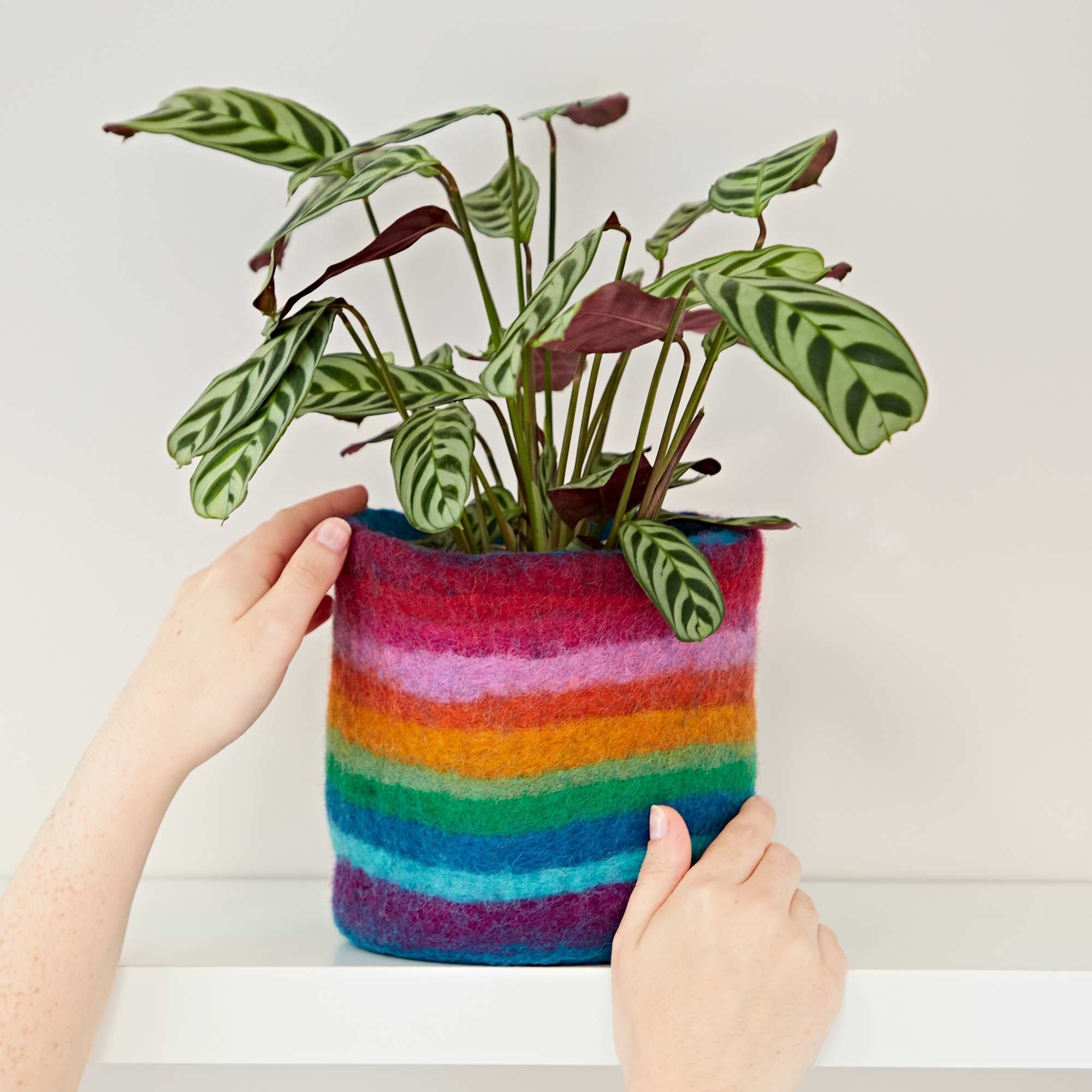 Felt Handmade Rainbow Plant Pot Cover - Colourful and Vibrant Indoor Pot Cover - Houseplant Pot Cover