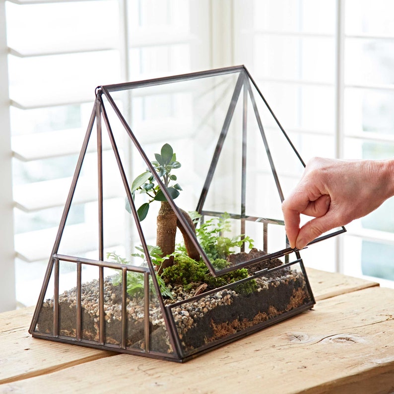 Large Glass Greenhouse Terrarium Pyramid Planter Terrarium Containers Plant Container Glass Terrarium Greenhouse Style image 1