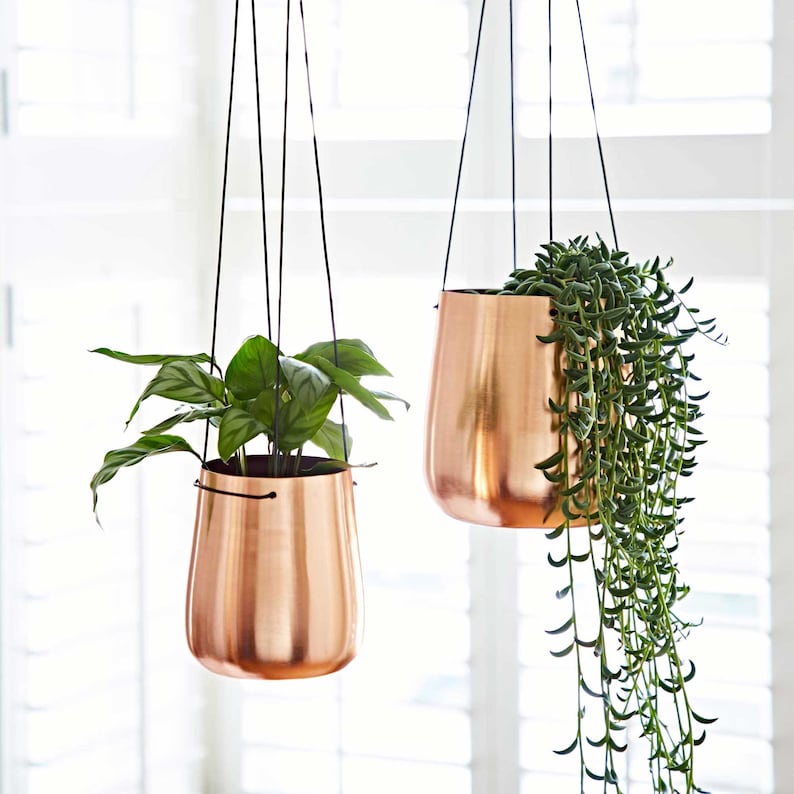 May include: Two copper hanging planters with plants. The planter on the left has a green plant with large leaves. The planter on the right has a trailing green plant.