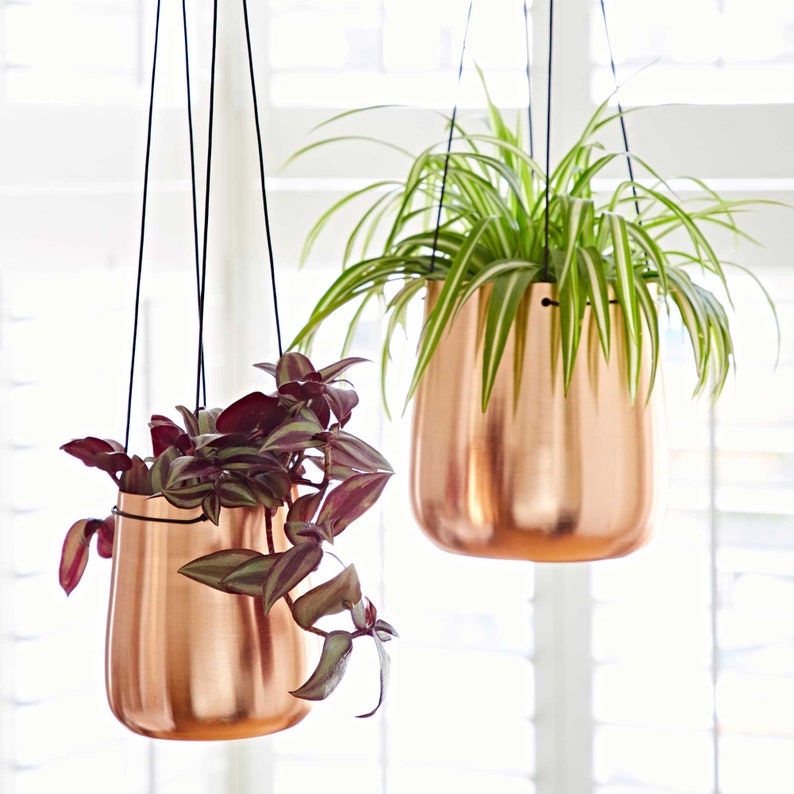 May include: Two hanging copper planters with plants. The planter on the left is filled with a trailing plant with purple and green leaves. The planter on the right is filled with a green plant with long, thin leaves.