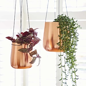 May include: Two copper hanging planters with plants. The planter on the left has a dark red and green plant. The planter on the right has a green plant with long trailing vines.