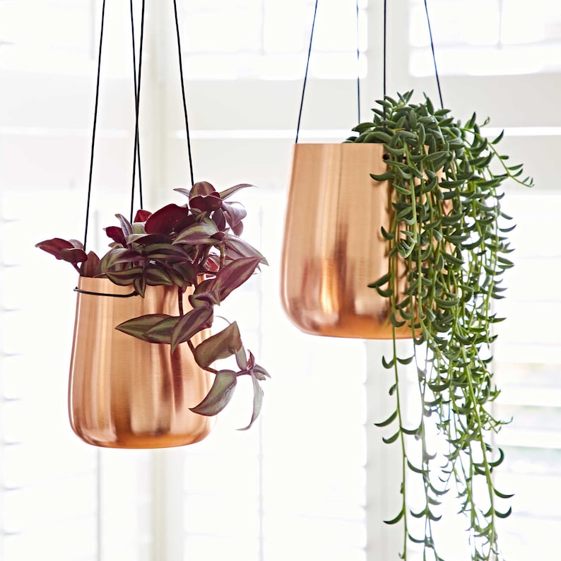May include: Two copper hanging planters with plants. The planter on the left has a dark red and green plant. The planter on the right has a green plant with long trailing vines.