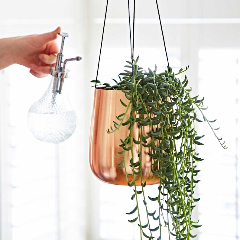 May include: A copper hanging planter with a green succulent plant. The plant is hanging from a black cord and is being watered with a clear glass spray bottle.