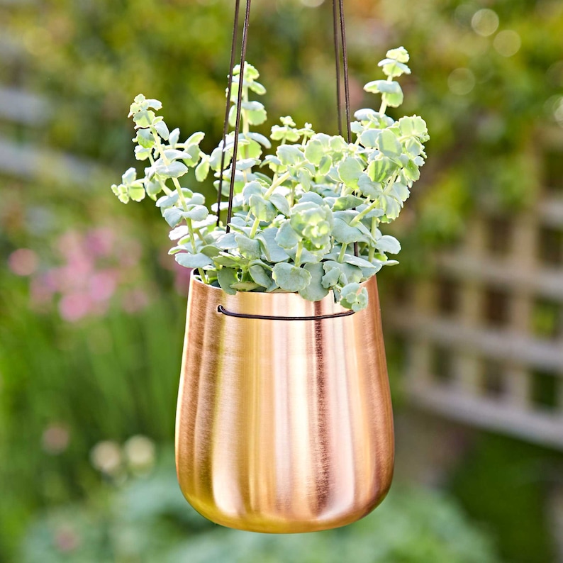 May include: A copper hanging planter with a leafy green plant inside. The planter has a smooth, brushed finish and is suspended by a black cord.