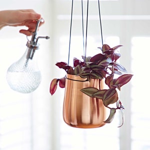 May include: A copper hanging planter with a leafy plant with purple and green leaves. The planter is suspended from the ceiling with black cords.