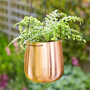 May include: A copper hanging planter with a green plant inside. The planter has a smooth, shiny finish and is suspended by a brown cord.