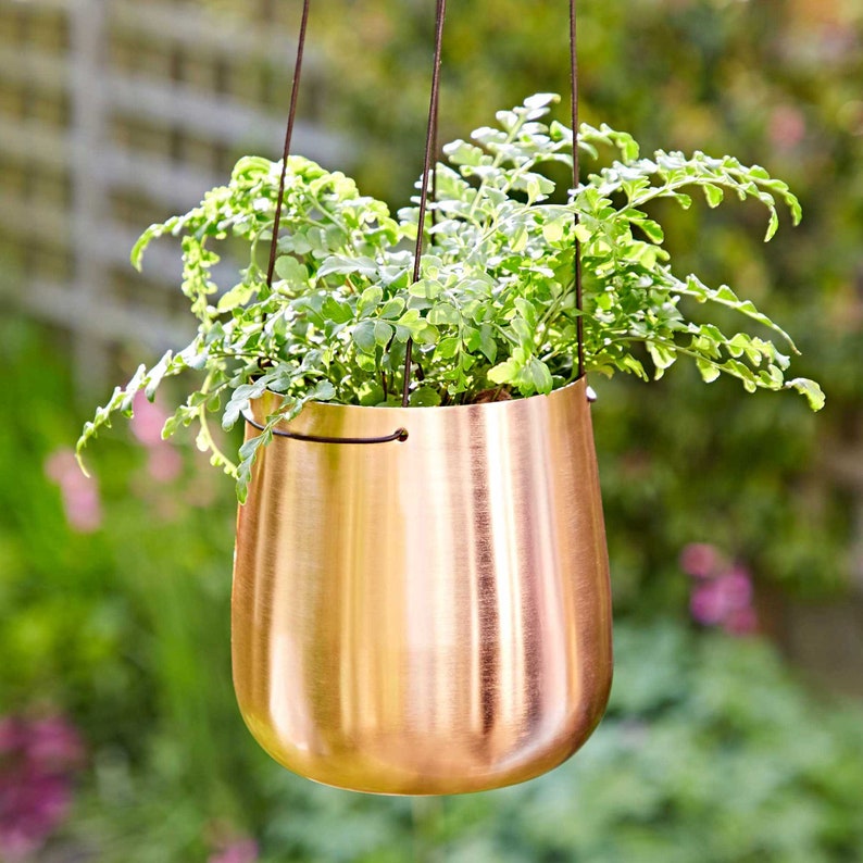 May include: A copper hanging planter with a green plant inside. The planter has a smooth, shiny finish and is suspended by a brown cord.