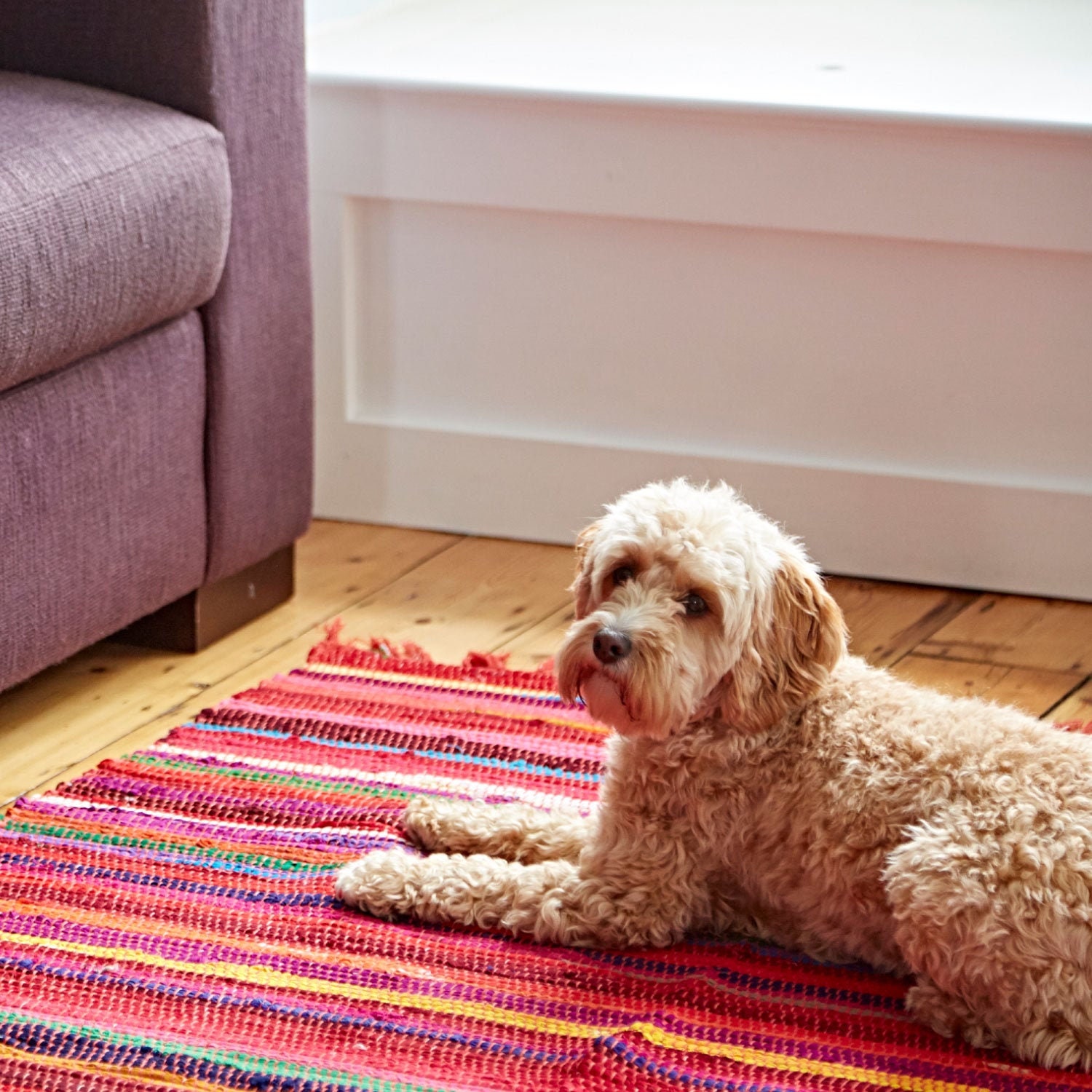 Handmade Recycled Cotton Rag Rug - Small Medium Large Runner Rugs - M…