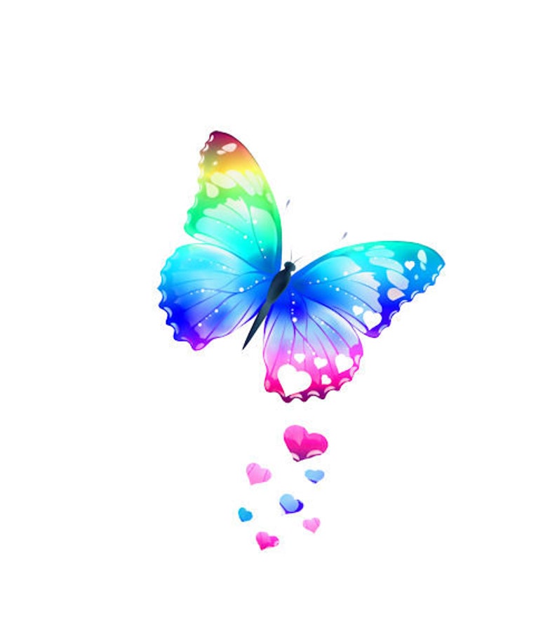 Download Rainbow Butterfly Png with SVG | Etsy