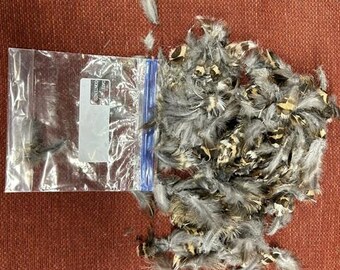 Bag of wild grouse (quart bag) feathers!