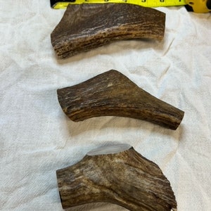 Whole antler dog chews (large)
