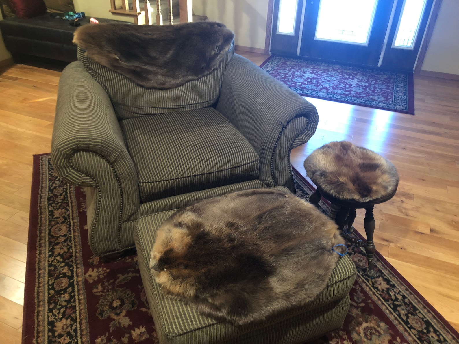 Large Beaver Throw Rug - Etsy