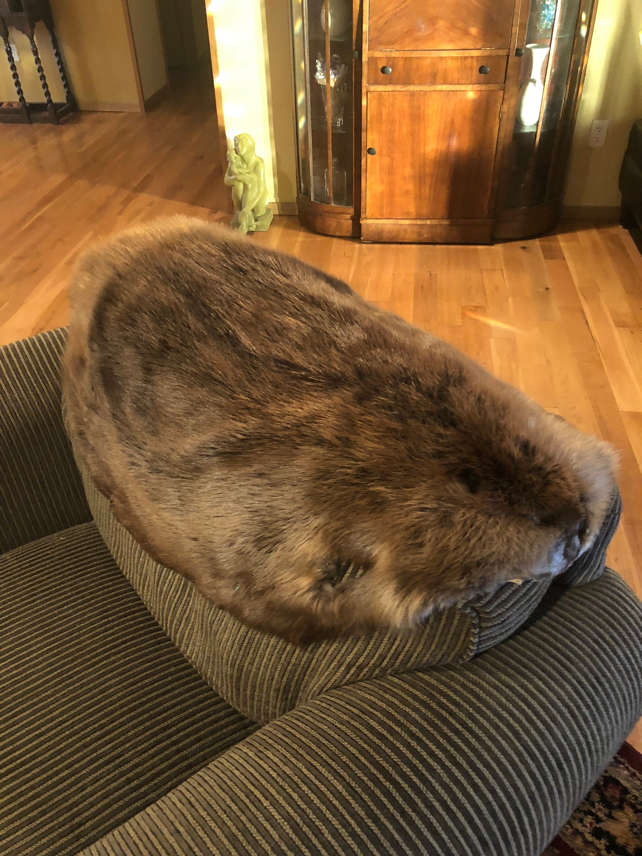 Large Beaver Throw Rug - Etsy