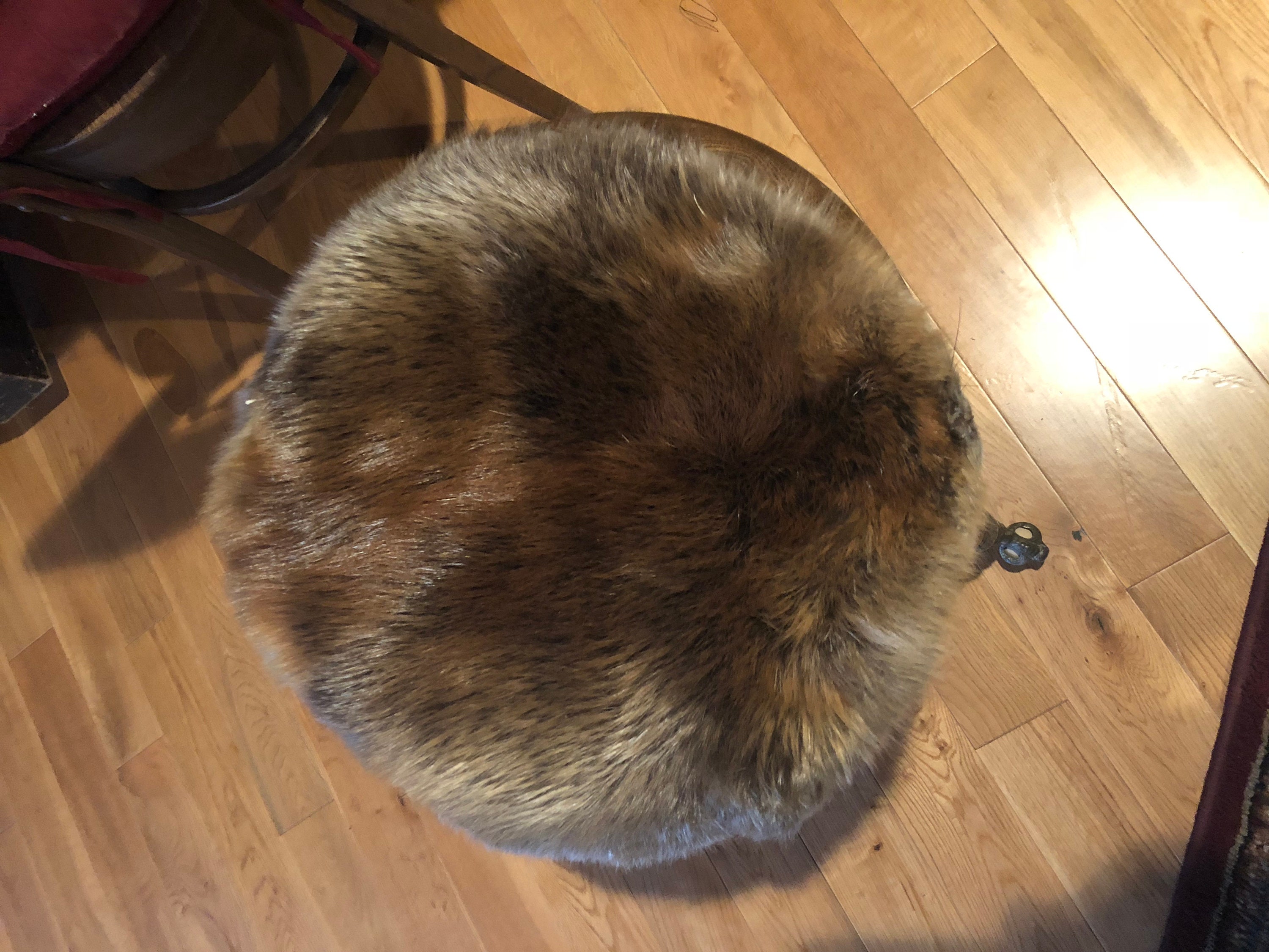 Small round beaver throw rug/pelt Etsy
