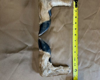 Idaho white tailed buck dried legs
