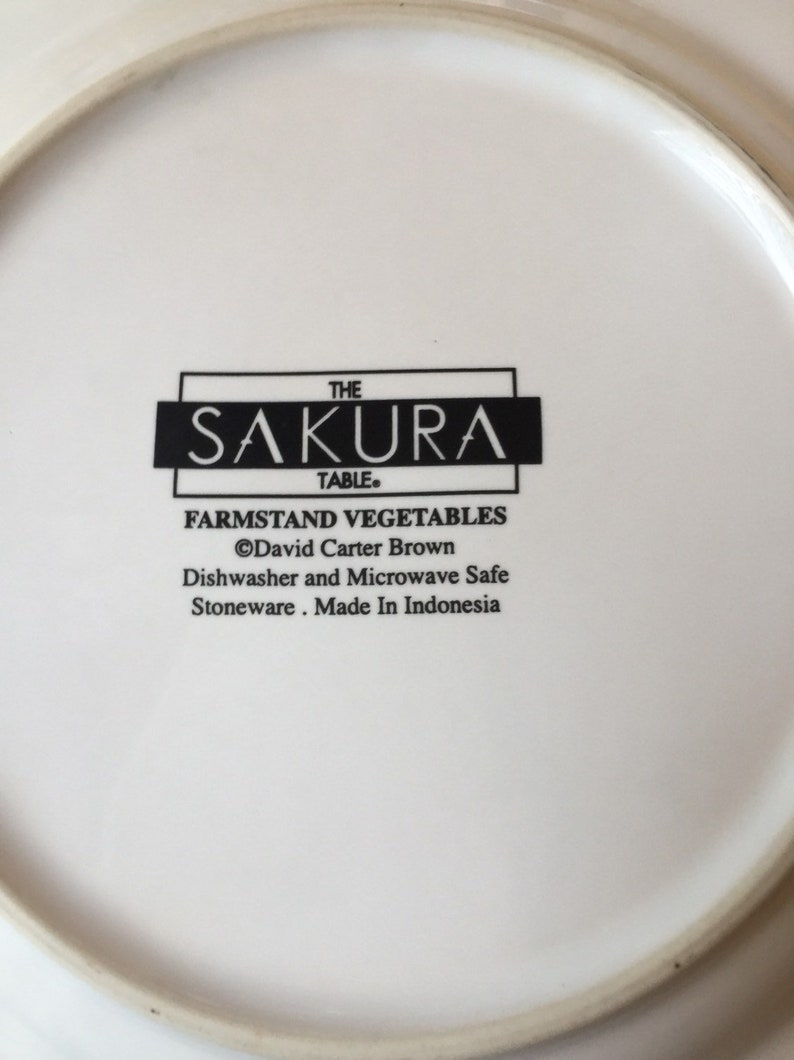 2 Stoneware Salad Plates The Sakura Table Farm-stand Vegetables-David Carter Brown
