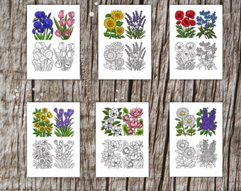 Coloring Flowers Printable Pages, Instat Download, Coloring With Samples