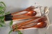 Eco Wooden Bamboo Cutlery Set Fork Spoon Chopsticks Picnic Travel Enviromentally Friendly 