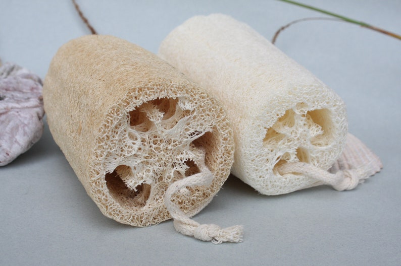 Large 12.5cm 5 Inch Natural Loofah Plant Bath Exfoliating Etsy
