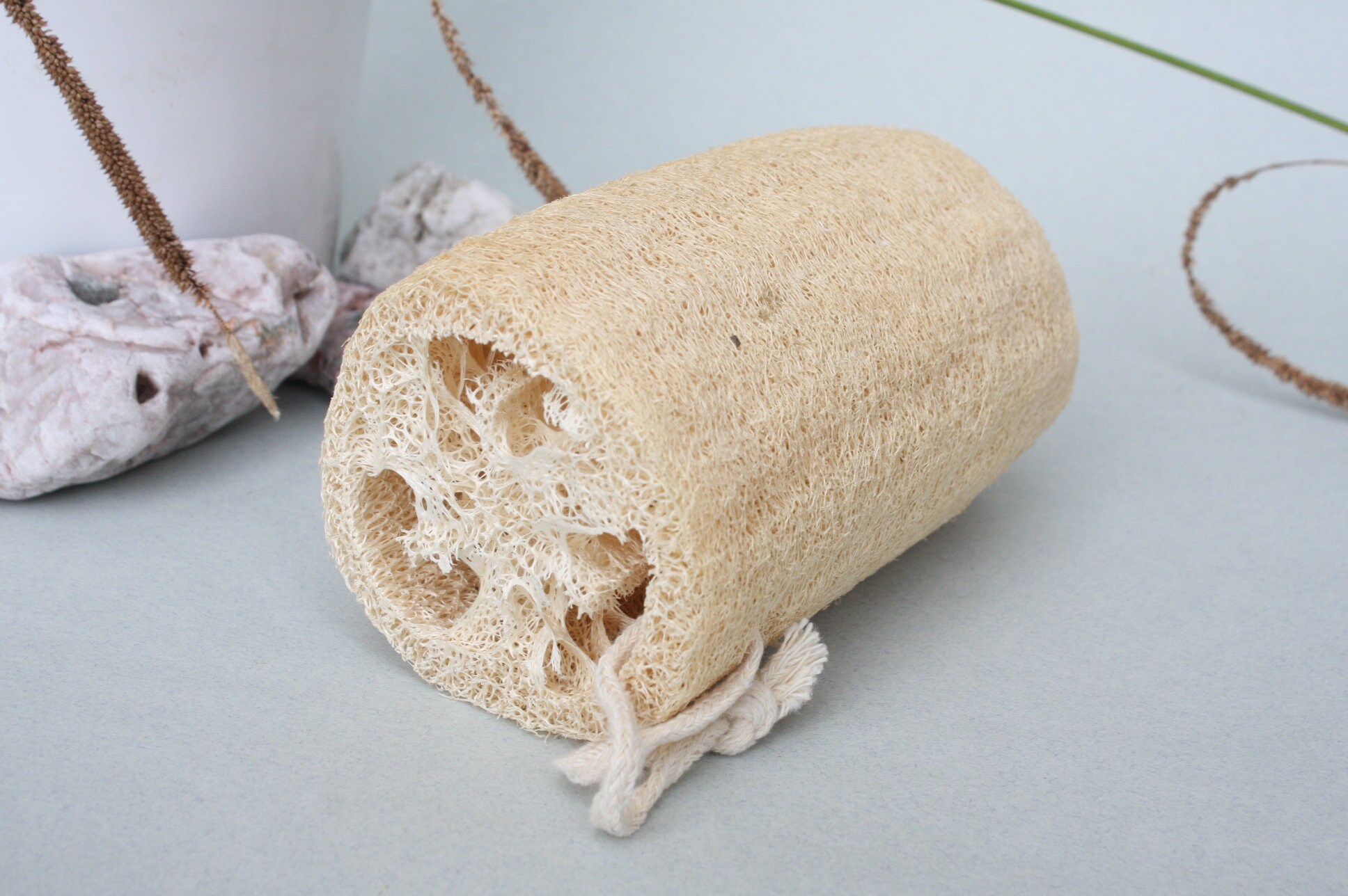 Large 12.5cm 5 Inch Natural Loofah Plant Bath Exfoliating Etsy