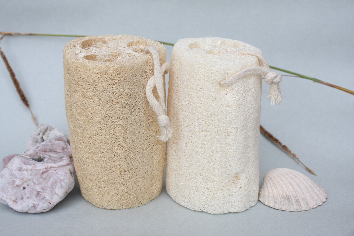 Large 12.5cm 5 Inch Natural Loofah Plant Bath Exfoliating Etsy