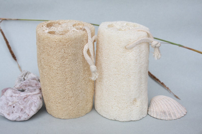 Large 12.5cm 5 Inch Natural Loofah Plant Bath Exfoliating Etsy