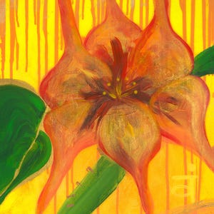 Greeting Card