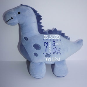 Personalized Plush Dinosaur Birth Announcement: Baby Stats Keepsake