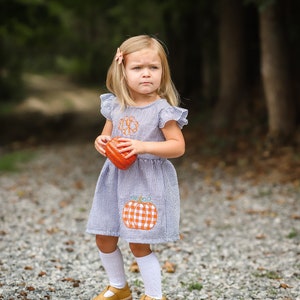 Thanksgiving Dress, Fall Dress, Toddler Dress, Girls Dress, Baby, Kids, Granddaughter image 1