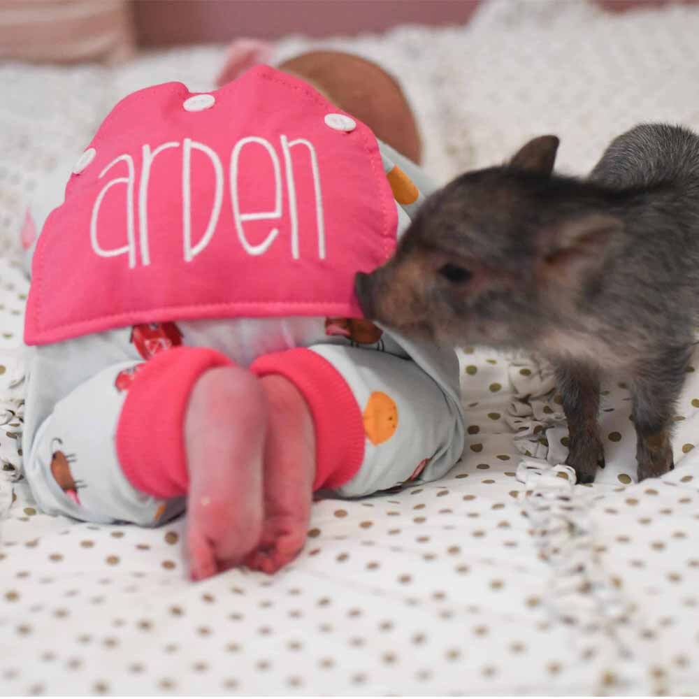 Farm Animal Pajamas Toddler Girl Pjs Baby Girl Jammies Etsy