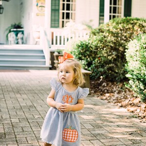 Thanksgiving Dress, Fall Dress, Toddler Dress, Girls Dress, Baby, Kids, Granddaughter image 8