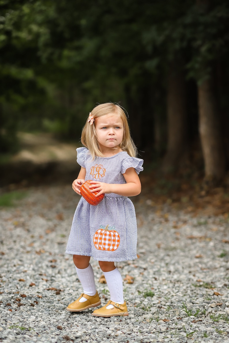 Thanksgiving Dress, Fall Dress, Toddler Dress, Girls Dress, Baby, Kids, Granddaughter image 1