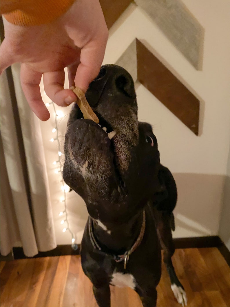 Banana cinnamon dog treats Etsy