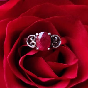 May include: A silver ring with a large, oval-cut ruby gemstone. The ring features decorative scrollwork on either side of the ruby. The ring is set against a backdrop of deep red rose petals, creating a striking contrast.