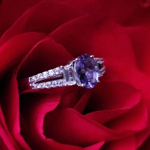 May include: A silver ring with a large oval purple gemstone and smaller clear stones set in a red rose. The ring has a split shank design and is set against the backdrop of the rose's velvety petals.