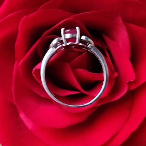 May include: A silver ring with a ruby gemstone, set against a vibrant red rose. The ring features a classic design with a central stone and delicate side accents. The ruby is a deep red color.