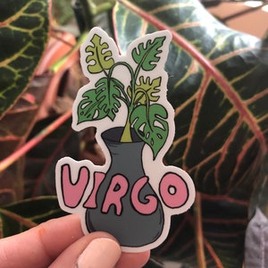 Plantas del zodiaco - Virgo