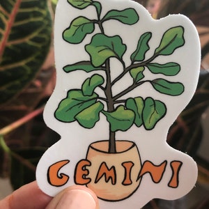 Plantes du zodiaque - Gémeaux